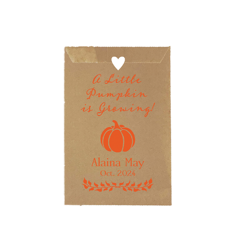 Little Pumpkin Seed Bags