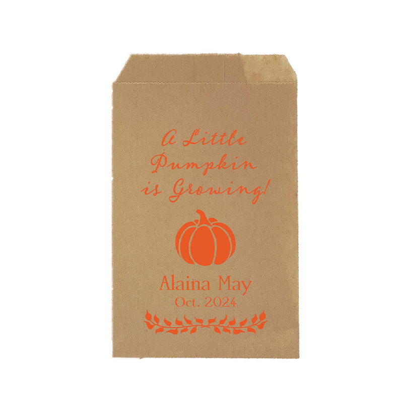 Little Pumpkin Seed Bags