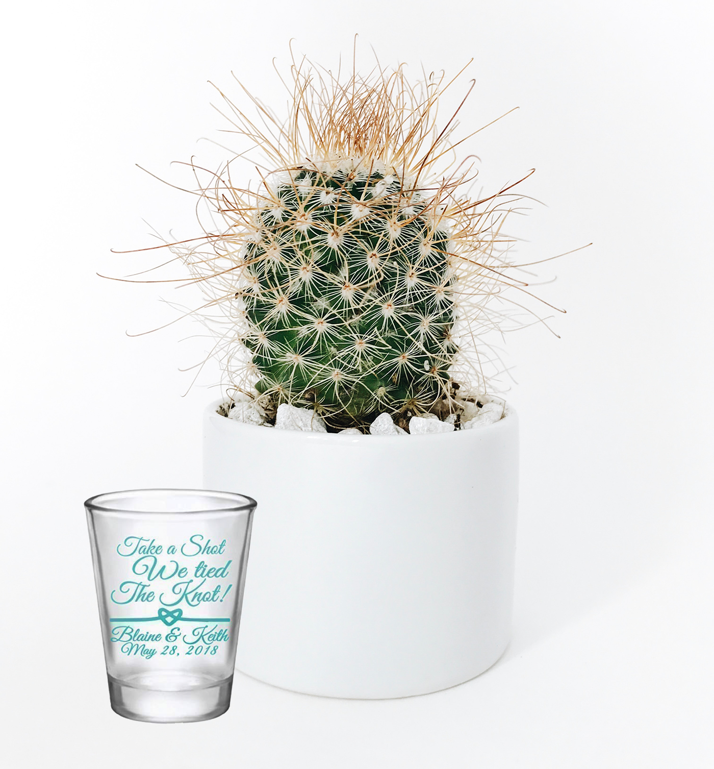 Take a shot we tied the knot shot glasses