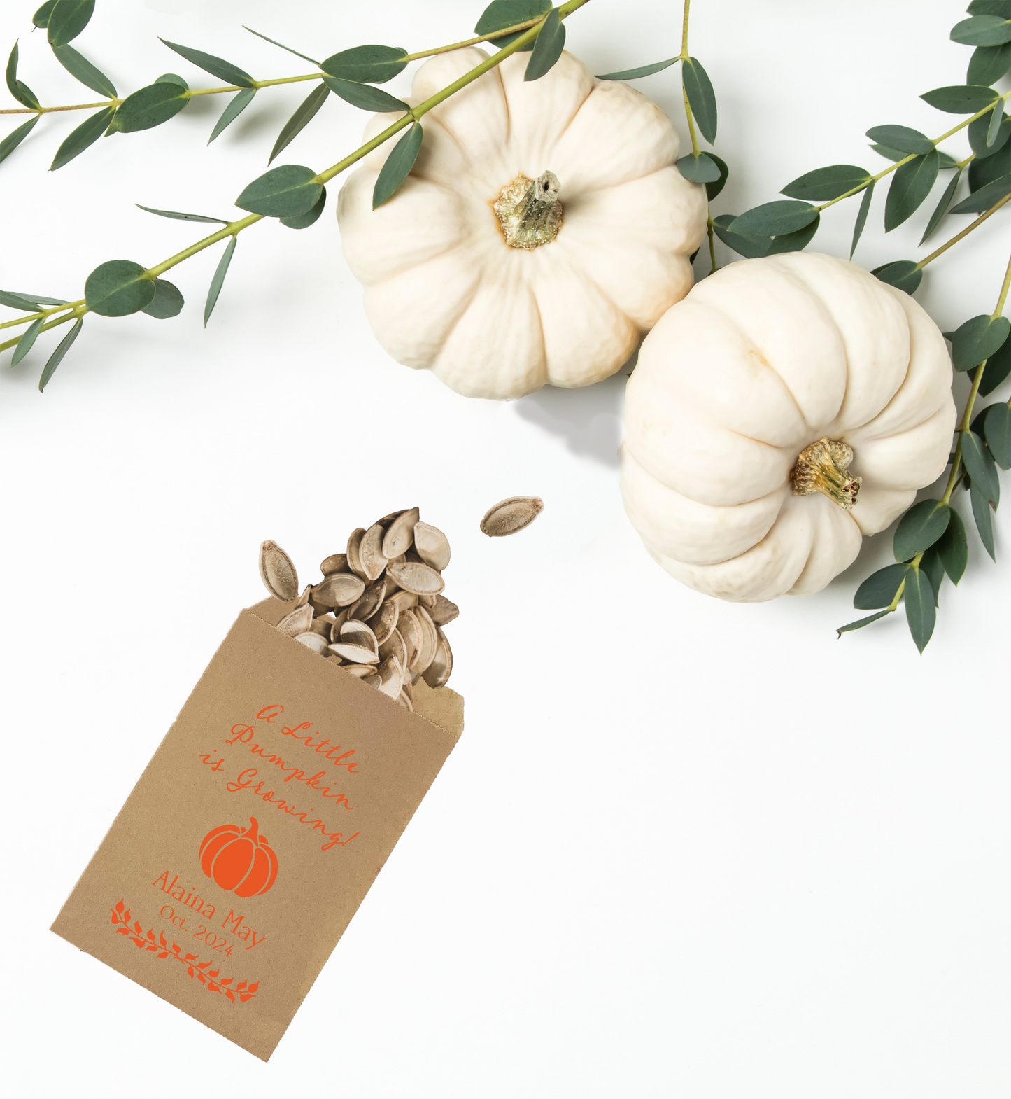 Little Pumpkin Seed Bags